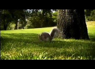 Singing & Dancing Girl - Funny Video