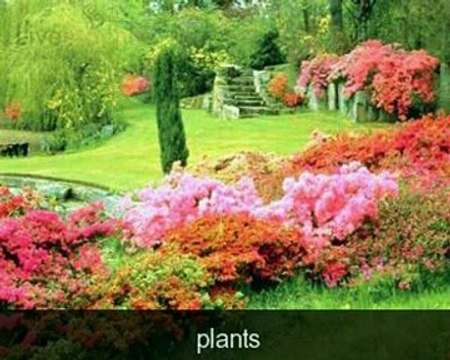 Курс английского языка Livemocha. 30. Поход по Магазинам [2011]