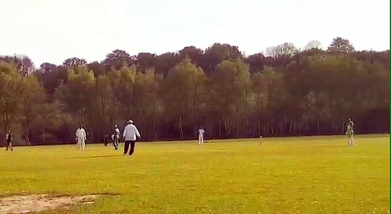 Cricket