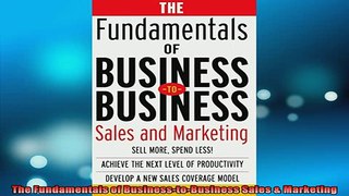 READ book  The Fundamentals of BusinesstoBusiness Sales  Marketing Free Online