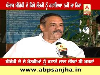 No minister of Punjab BJP will be removed