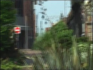 Consolidated - Goin Bannanas