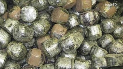 Border Patrol Finds Marijuana Inside of Coconuts