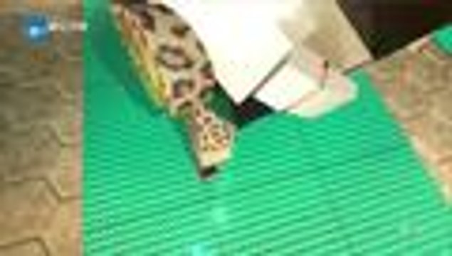 跑男来了4 第5期 20160513