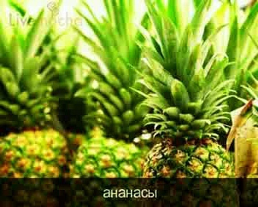 Курс английского языка Livemocha. 32. Разделы [2011]