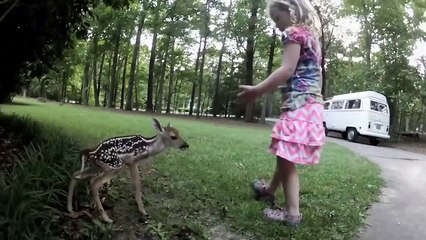 José Luis Colmenter: Ciervo y niña se hacen amigos