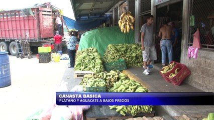 Canasta Basica: Platano y Aguacate a bajos precios