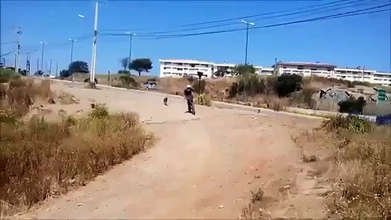Animal_jumps_fail