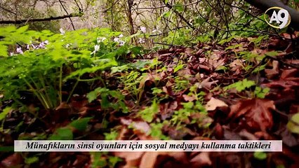 Münafıkların sinsi oyunları için sosyal medyayı kullanma taktikleri