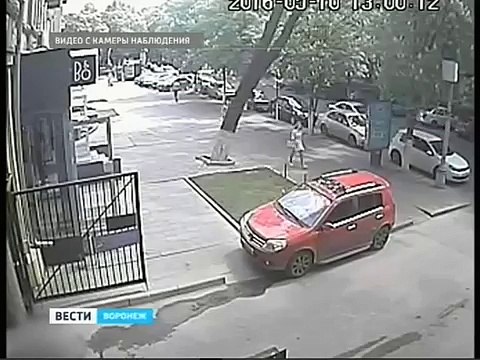 Elle évite la chute d'un arbre de justesse