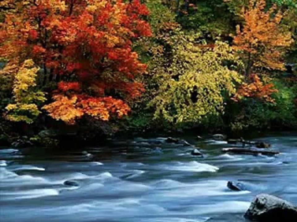 وصف الجنه   ابو انس