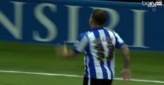 Ross Wallace Amazing Goal - Sheffield Wednesday FC 1-0 Brighton & Hove Albion (13.5.2016)