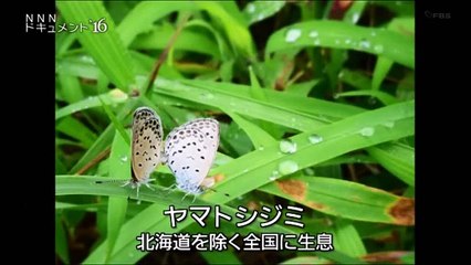 NNNドキュメント THE 放射能 人間vs.放射線　科学はどこまで迫れるか？