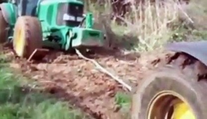 La Natura Ci Mostra Chi è Il Più Forte, Anche I Grandi "Mostri" Non Hanno Speranza...