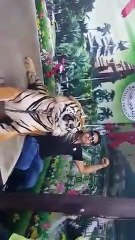 brave_man_with_tiger