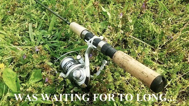 CARP FISHING WITH SWEETCORN | LIGHT TACKLE |PUBLIC FISHING POND