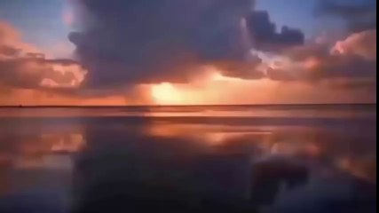 Most Shocking Animal Attacks On Human - Crazy Animal Attack People !