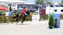 6 years old mare ( Chekandino x Landjonker) 1,25 jump off