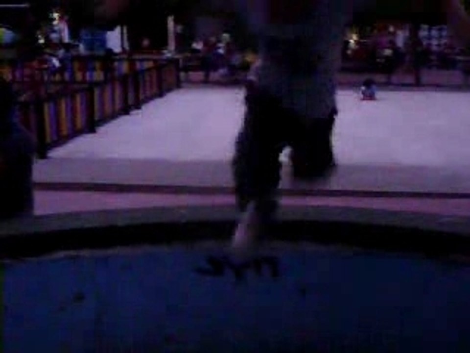 Nuestros Primeros Saltos