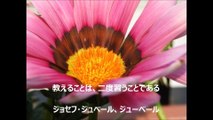 大橋直久マナー教室～名言集（ジョセフ・ジュベール）