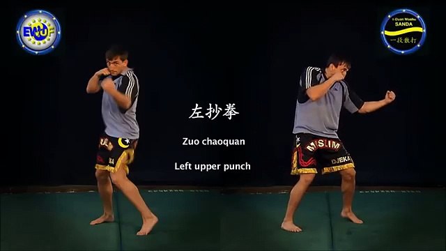 Wushu Sanda Tutorial