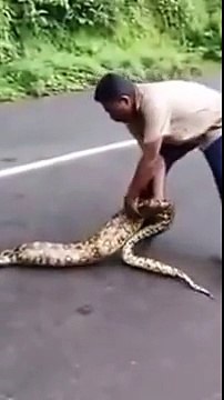 HUGE SNAKE IN INDIA LARGEST PYTHON SNAKE FOUND IN KERALA INDIA