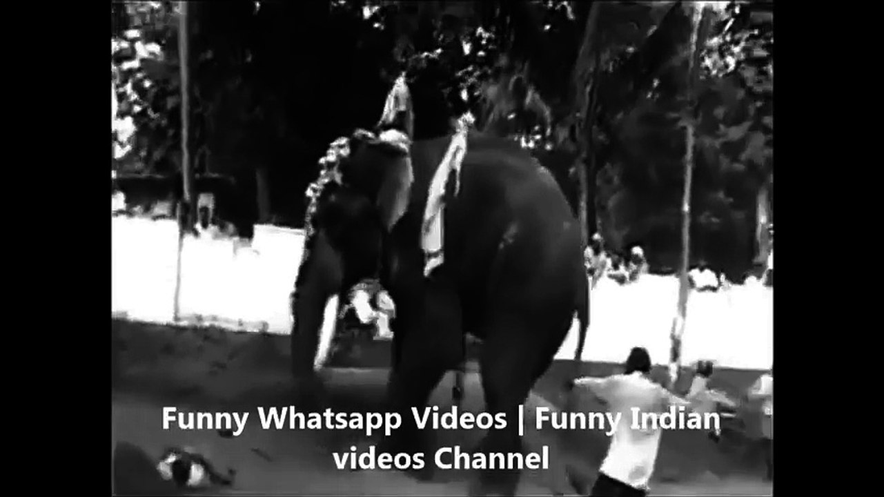 KILLER ELEPHANT ATTACK IN INDIA - INDIAN ELEPHANT ATTACK RAMPAGE