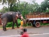 Latest Indian Funny Videos Compilation 2015 - Indian Whatsapp Videos - Videos De Risa 2015 (4)