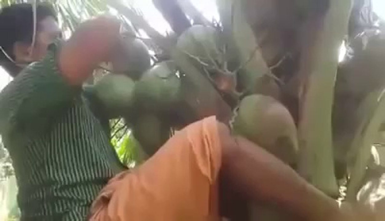 Latest Indian Funny Videos Compilation 2016 - Indian Whatsapp Videos - Videos De Risa 2016 (2)