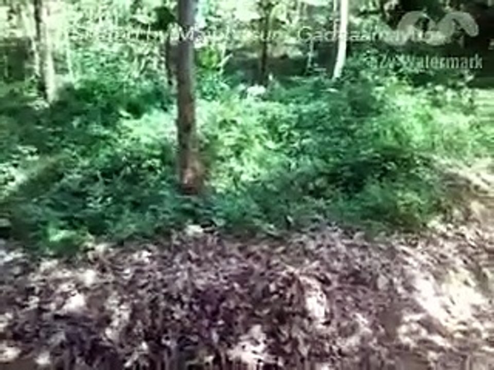 Latest Indian Funny Videos Compilation 2016 - Indian Whatsapp Videos - Videos De Risa 2016 (21)