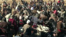 El buzkashi, un juego de guerra solo para hombres en Afganistán