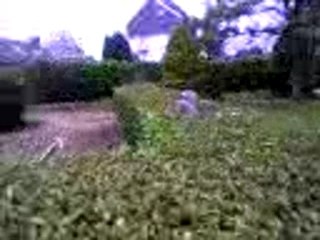 On va baiser dans les buissons?