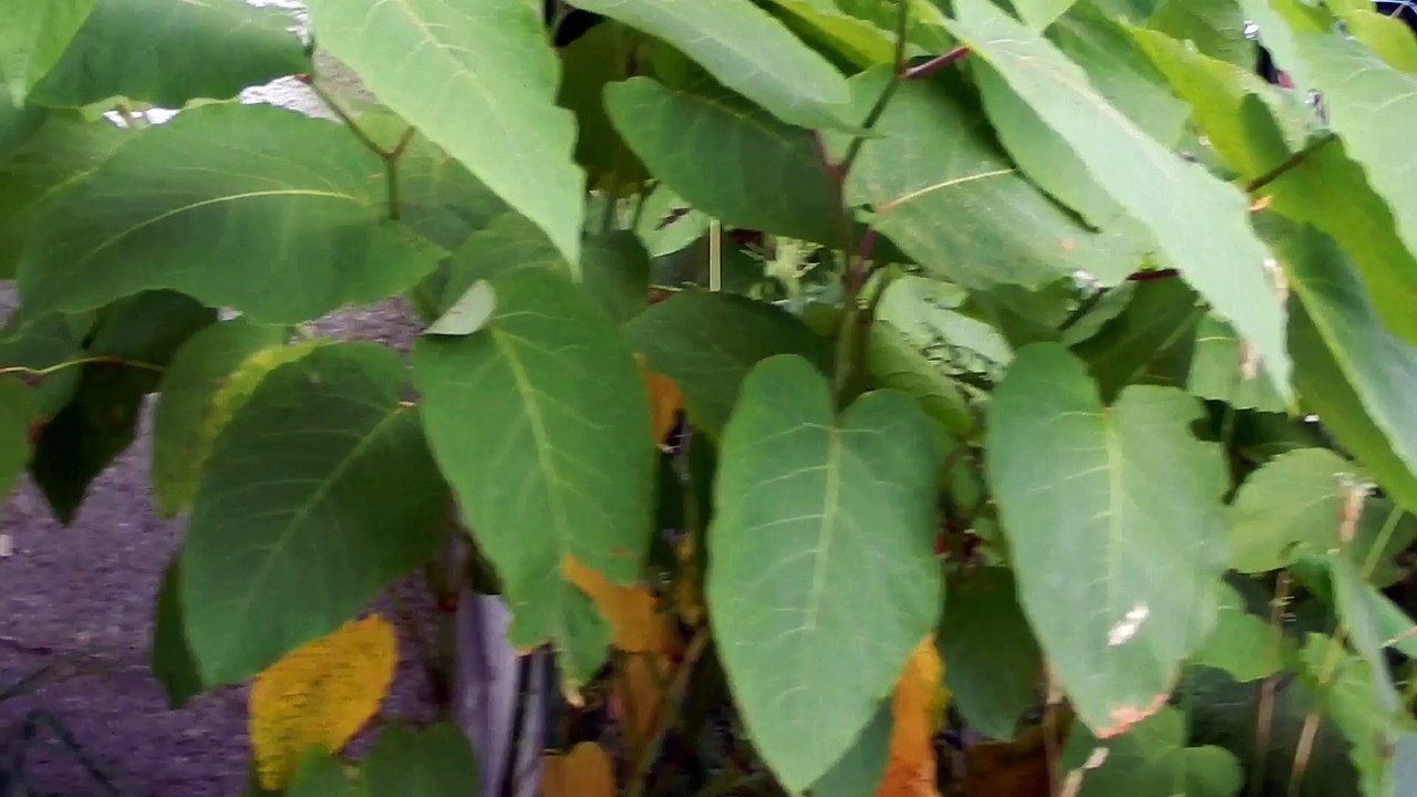 ミニ集会