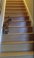 천안오피∠일산오피┐bam4u❽『com』⑴번지 라인업∠천안키스방┐일산휴게텔∠동탄오피┐