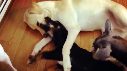 Ϣelcome✌밤포유［bam4u❽com］동탄핸플び동탄안마〖동탄휴게텔〗동탄오피방