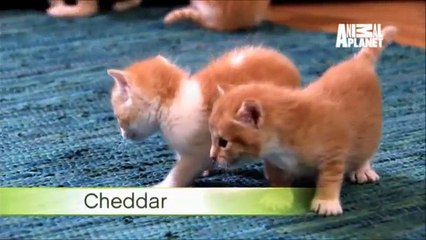 영등포안마≪bam４u８。com≫⑵용인건마{밤}{포}{유}용인오피 동탄키스방