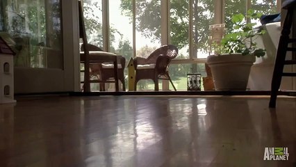 유성오피№.❶≪bam４u８。com≫⑸천안핸플∠강남키스방┐유성오피방