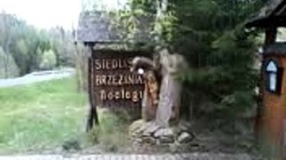 Bieszczady - local ways of living and plenty of wilder animals all around