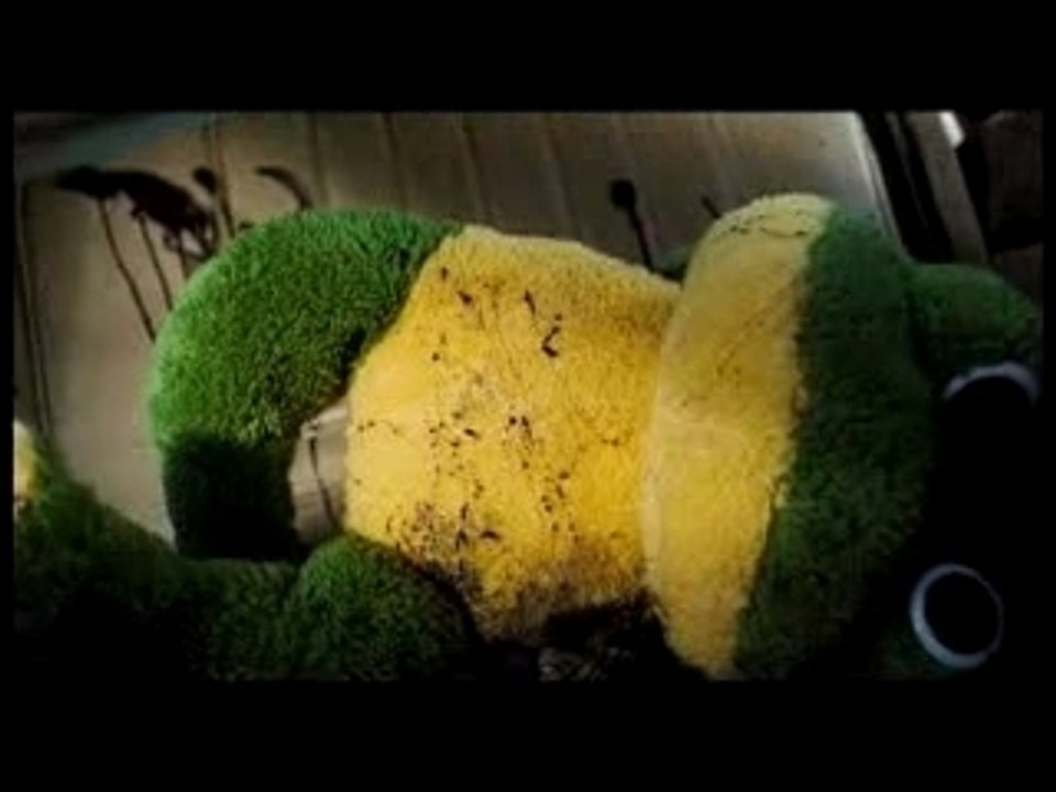 Hitcher