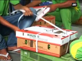 Europe gets a taste of Lucknow chillies