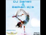 DJ SaNeLL & Balkan DJ's CD-Seka Aleksic - Soba 22 (Remix by z0x)