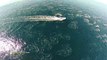 Un drone filme un banc de dauphins et de baleines au large de Maui : magique