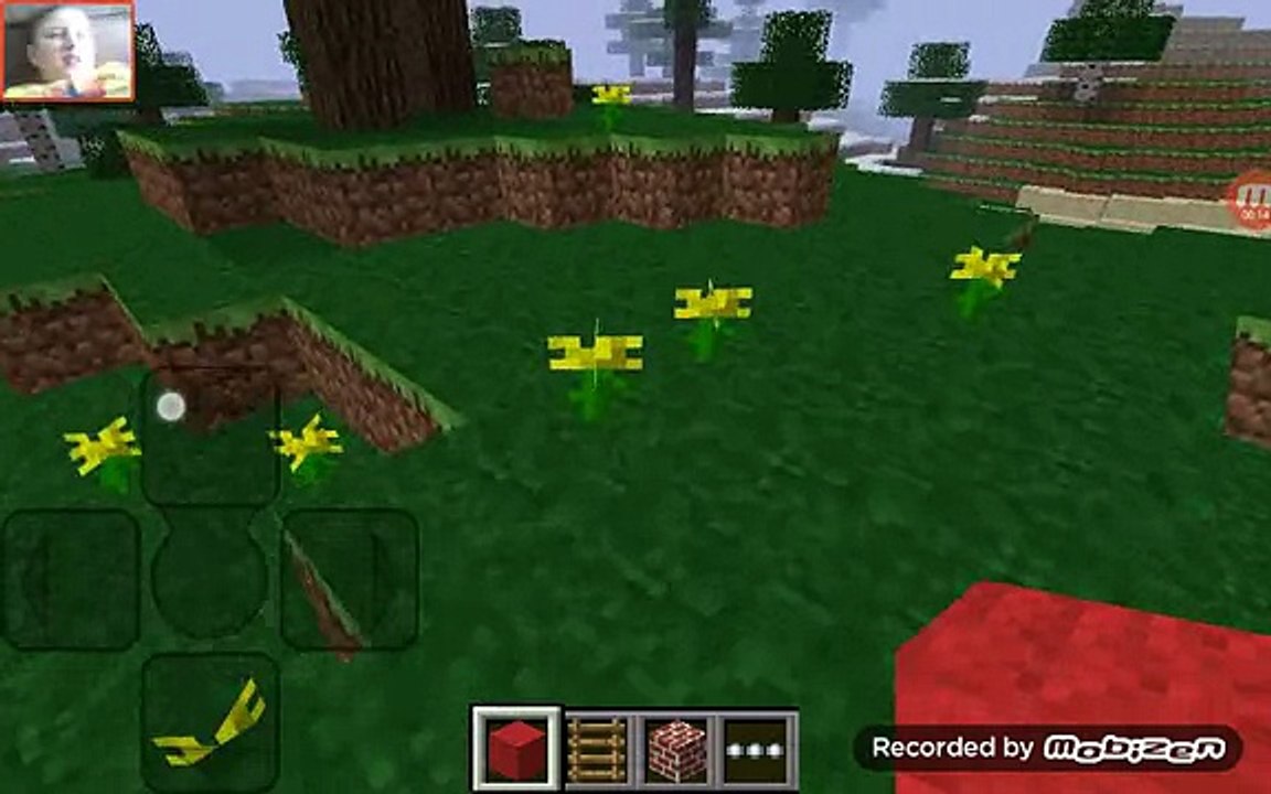 Minecraft pe 0.1.0
