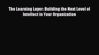 Download The Learning Layer: Building the Next Level of Intellect in Your Organization PDF