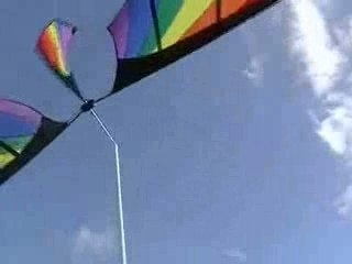 Giant sized Garden Pinwheels