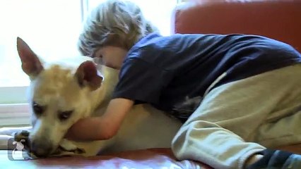 Cucciolo Salvato dal Braccio della Morte, ora si Prende Cura di una Bimba molto Malata