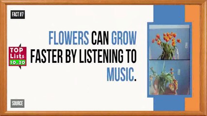 30 list of facts You Didn't Know About Music