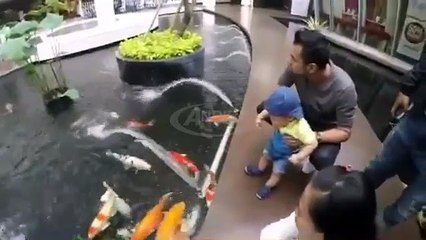 Video Rafathar Malik Ahmad Lihat Ikan Koi Sama Papa Raffi Ahmad