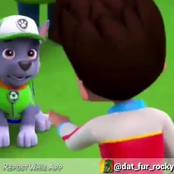 Paw Patrol face their fears: Rocky video Dailymotion