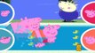 Peppa pig and george pig go swimming with Daddy Pig Mummy Pig Peppa Pig Swimming Race video snippet
